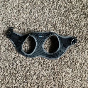 Blue Frog pet I.d. Harness